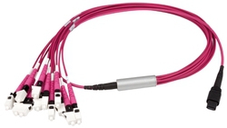 MPO24 Harness MPO24m 2xMPO12m 1m 