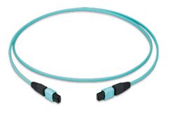 MPO24 Patchkabel female 2m 