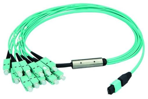 MPO Harness 12x2,1mm OM3 12SC MM 