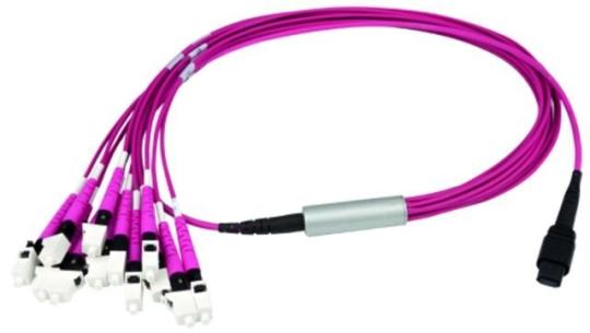 MPO Harness 12x2,1mm OM4 12SC MM 