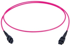 MPO24 Patchkabel female 5m 