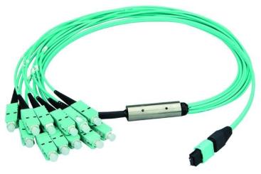MPO Harness 12x2,1mm OM3 12LC MM 