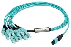 MPO24 Harness MPO24m 2xMPO12m 10m 